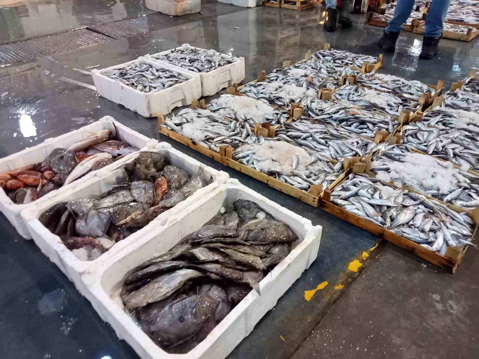 İzmirli balıkçılar sezondan umutlu
