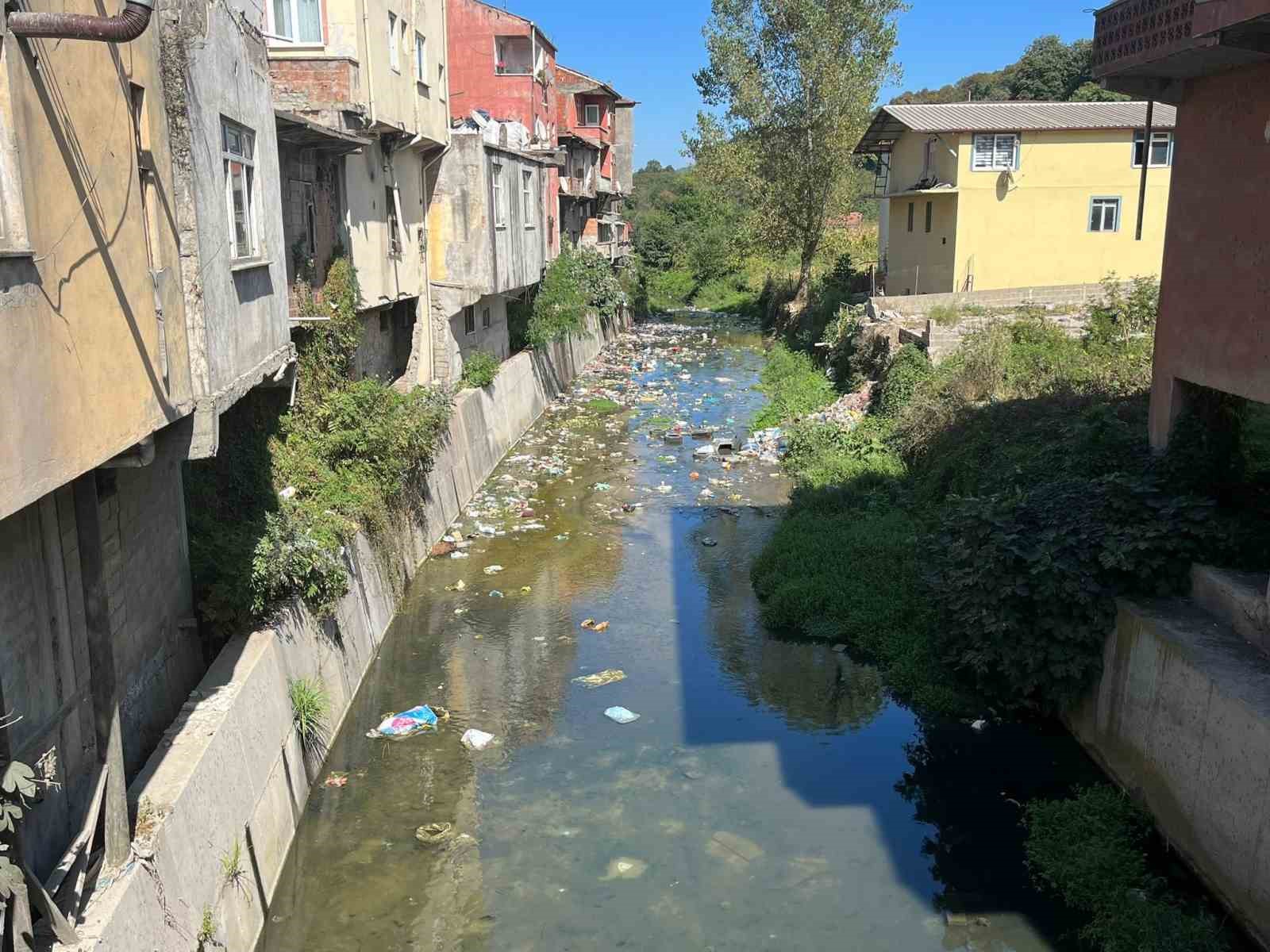 Dere yatağını &ccedil;&ouml;pl&uuml;ğe &ccedil;evirdiler
