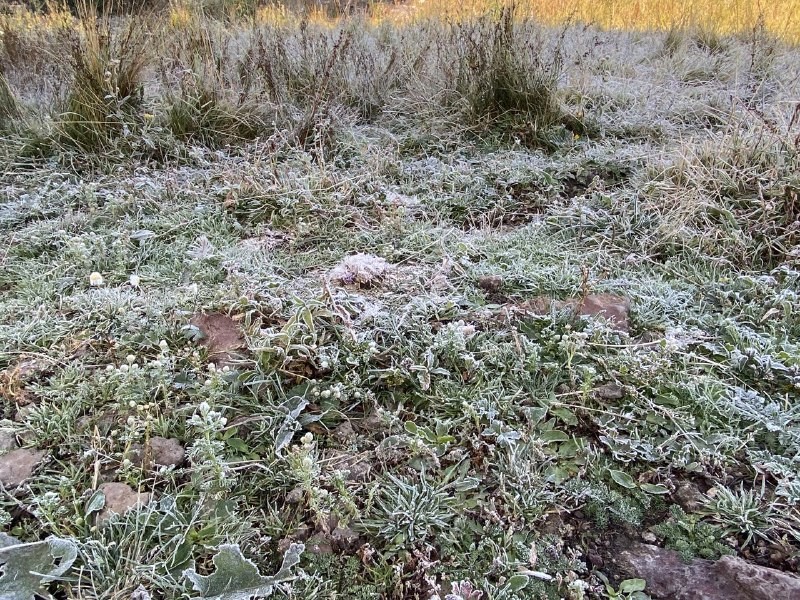 Ardahan&rsquo;da soğuk hava: Damal il&ccedil;esi eksi 2,7 dereceyi g&ouml;rd&uuml;
