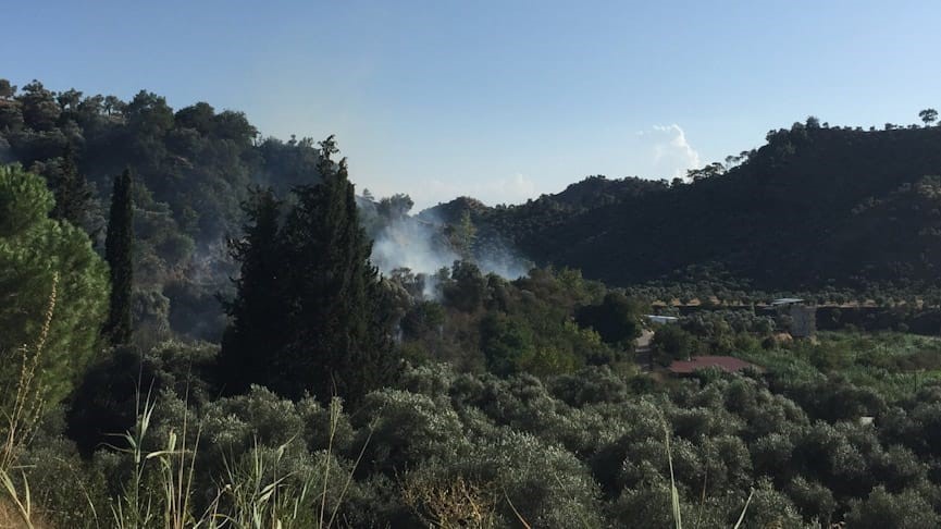 Köşk’te zeytinlik yangını korkuttu