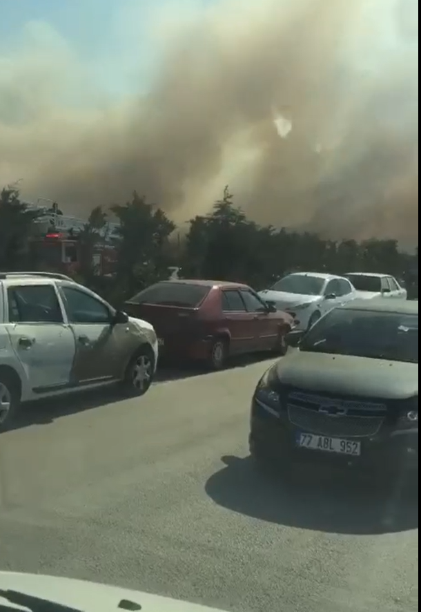 Yalova’da yangın