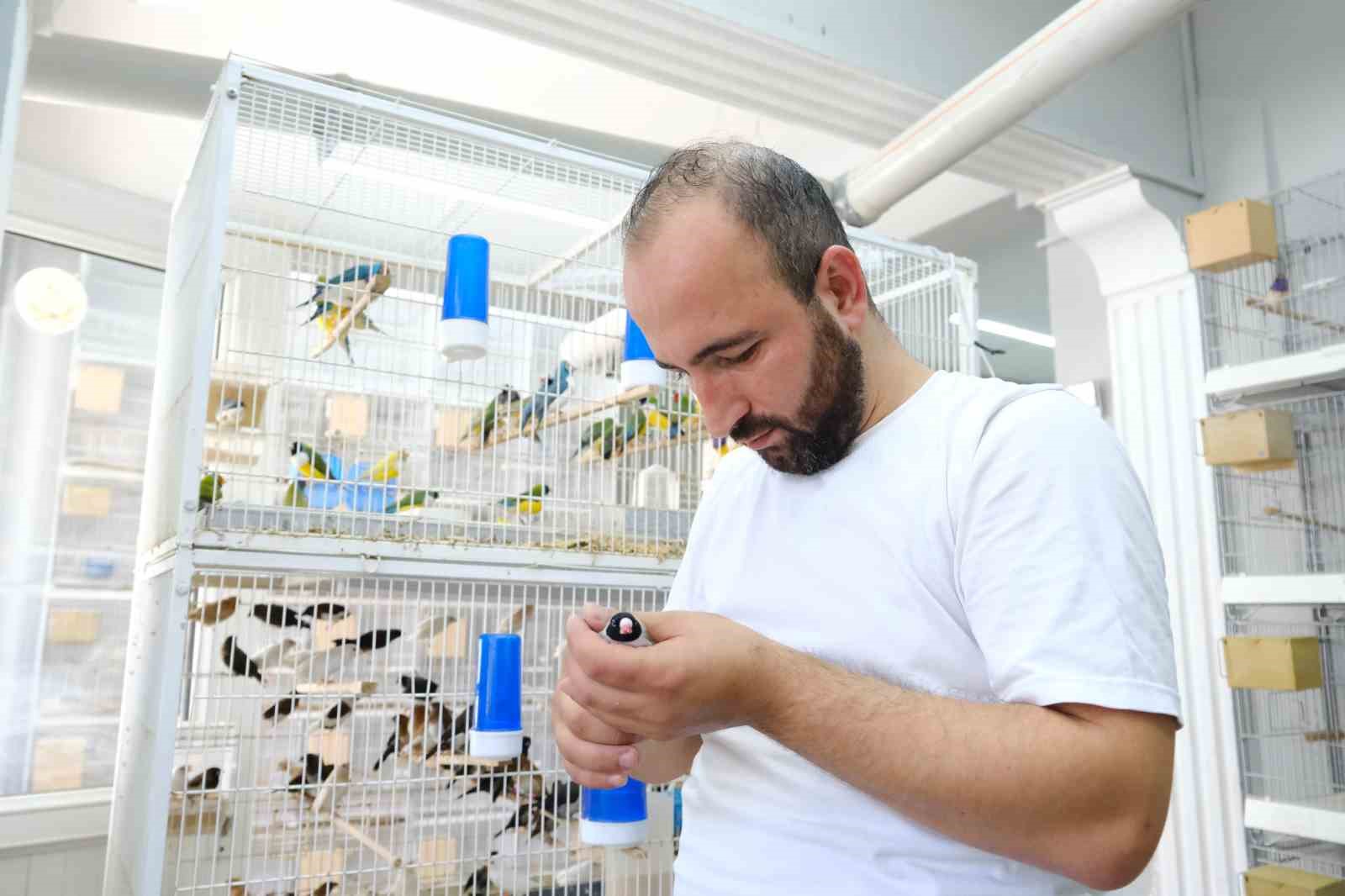 Egzotik kuşların kameraya yansıyan kur dansları renkli g&ouml;r&uuml;nt&uuml;ler oluşturdu
