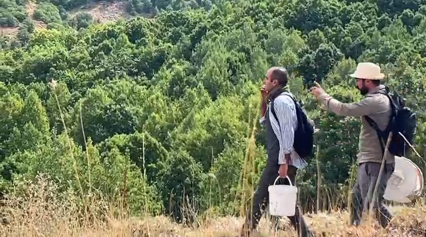 Bing&ouml;l&rsquo;de &rsquo;Bal avcıları&rsquo; arı takibi yaparak doğal bala ulaşıyor
