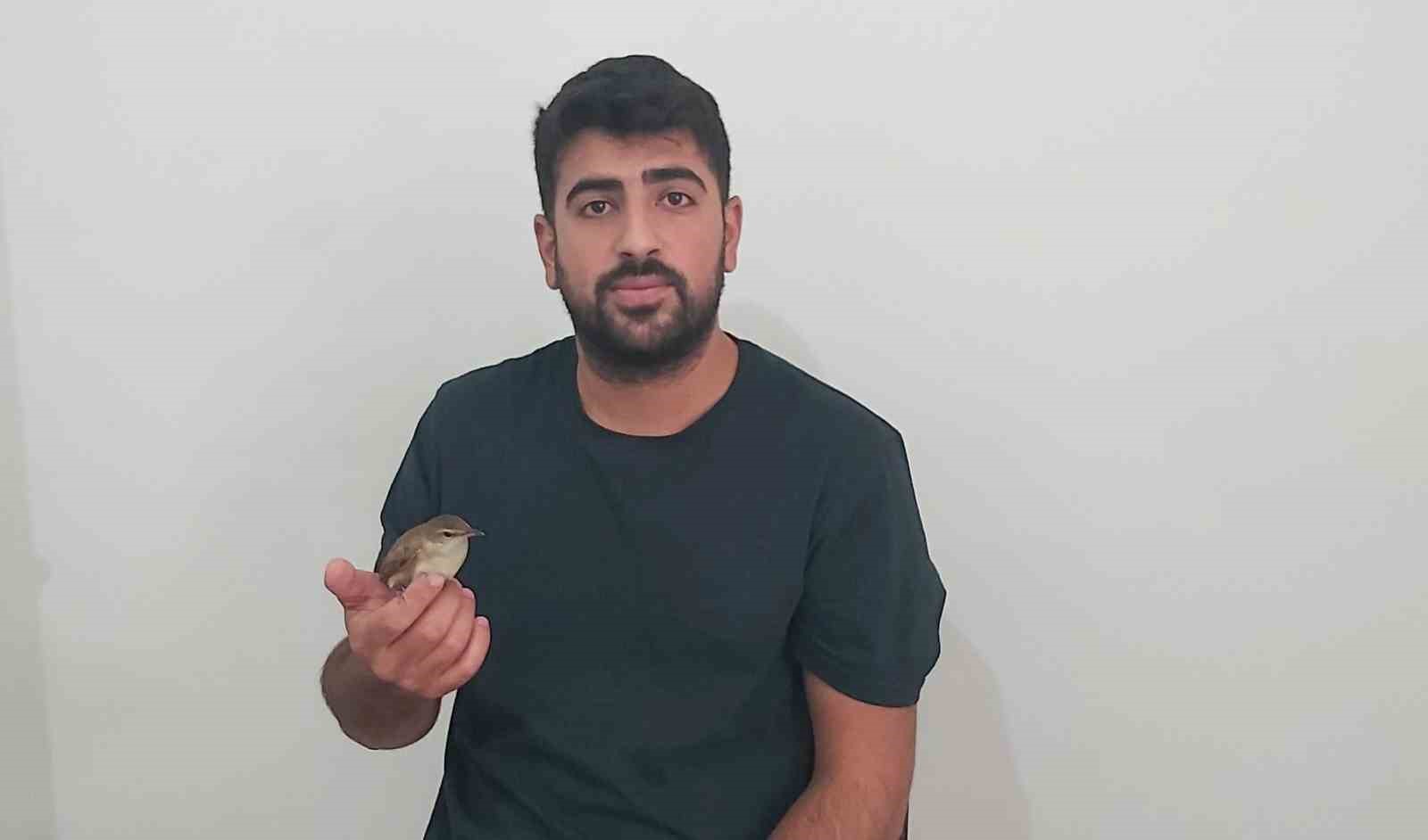 Kalp masajı yapılarak hayata d&ouml;nd&uuml;r&uuml;len kuş tedavi altına alındı
