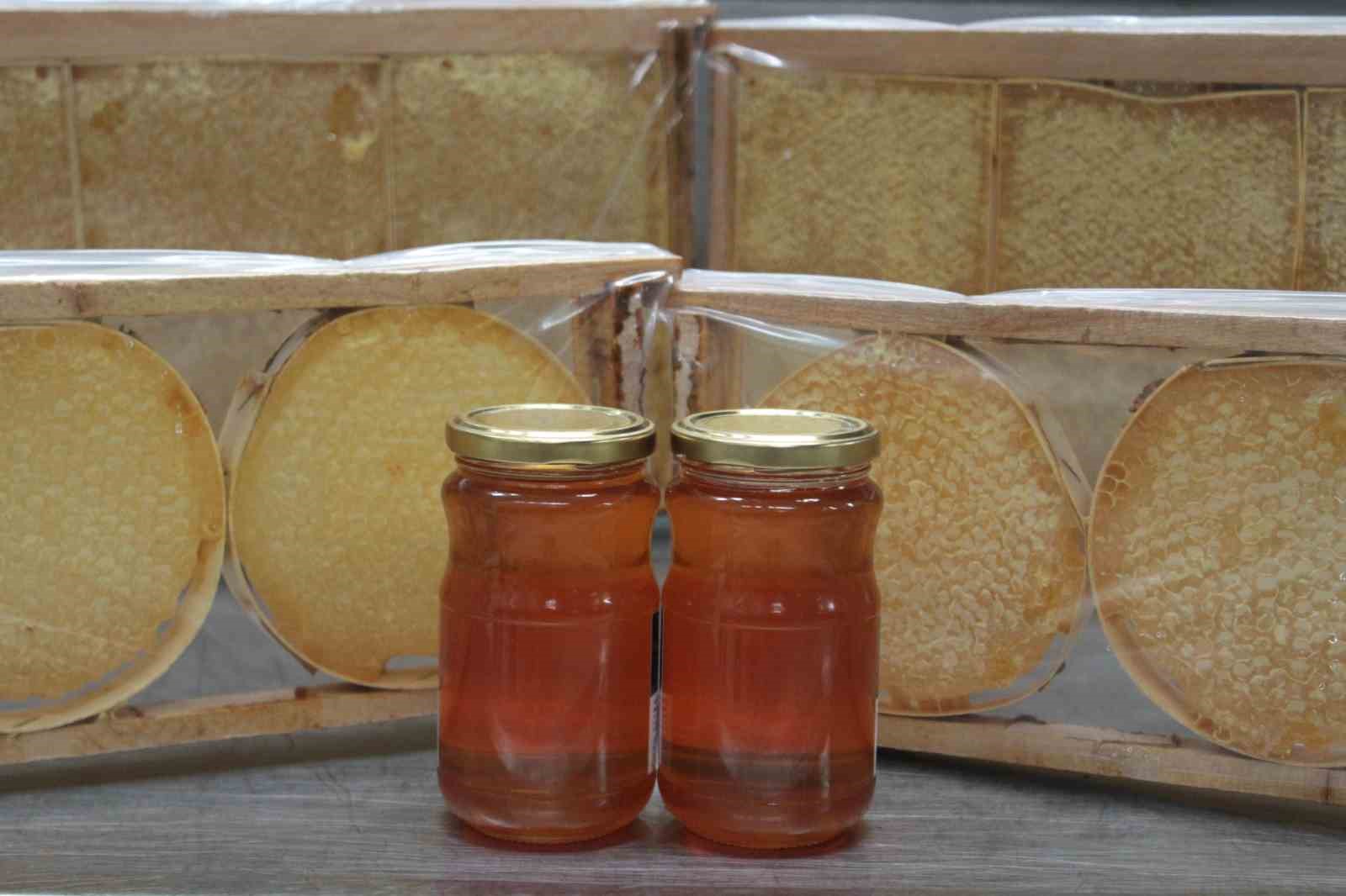 Ordu&rsquo;dan 55 &uuml;lkeye bal ihracatı
