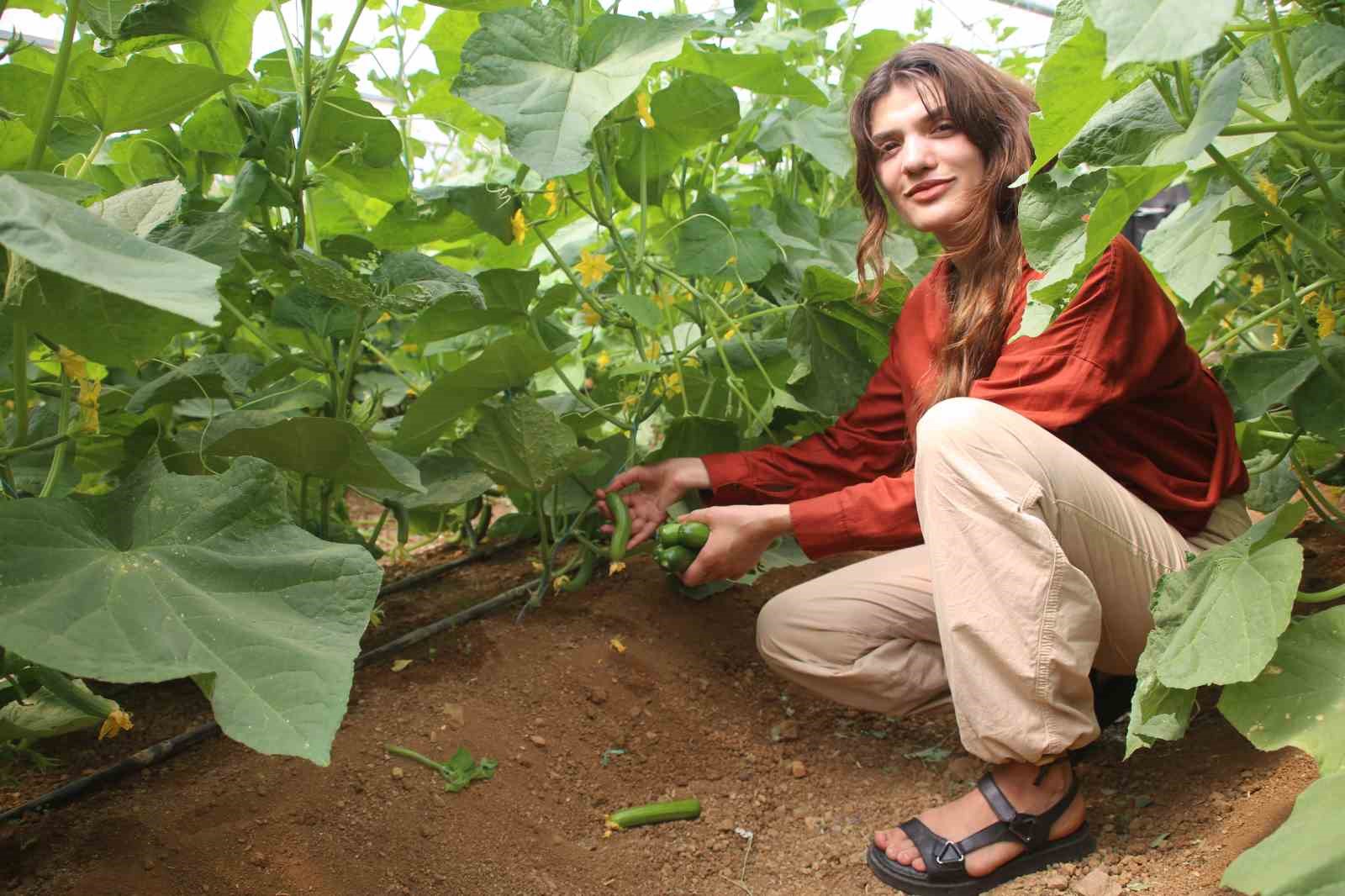 Derecik&rsquo;te seracılık yaygınlaşıyor
