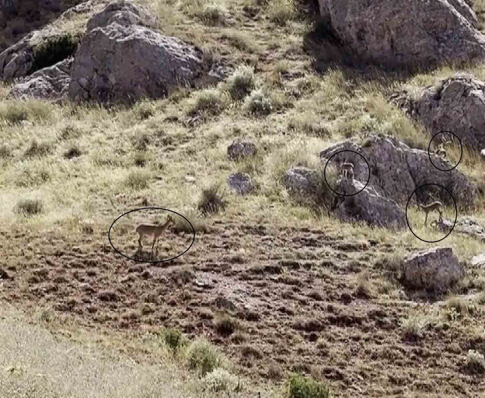 "Dünyanın en güzel manzarası" diyerek kayda aldı