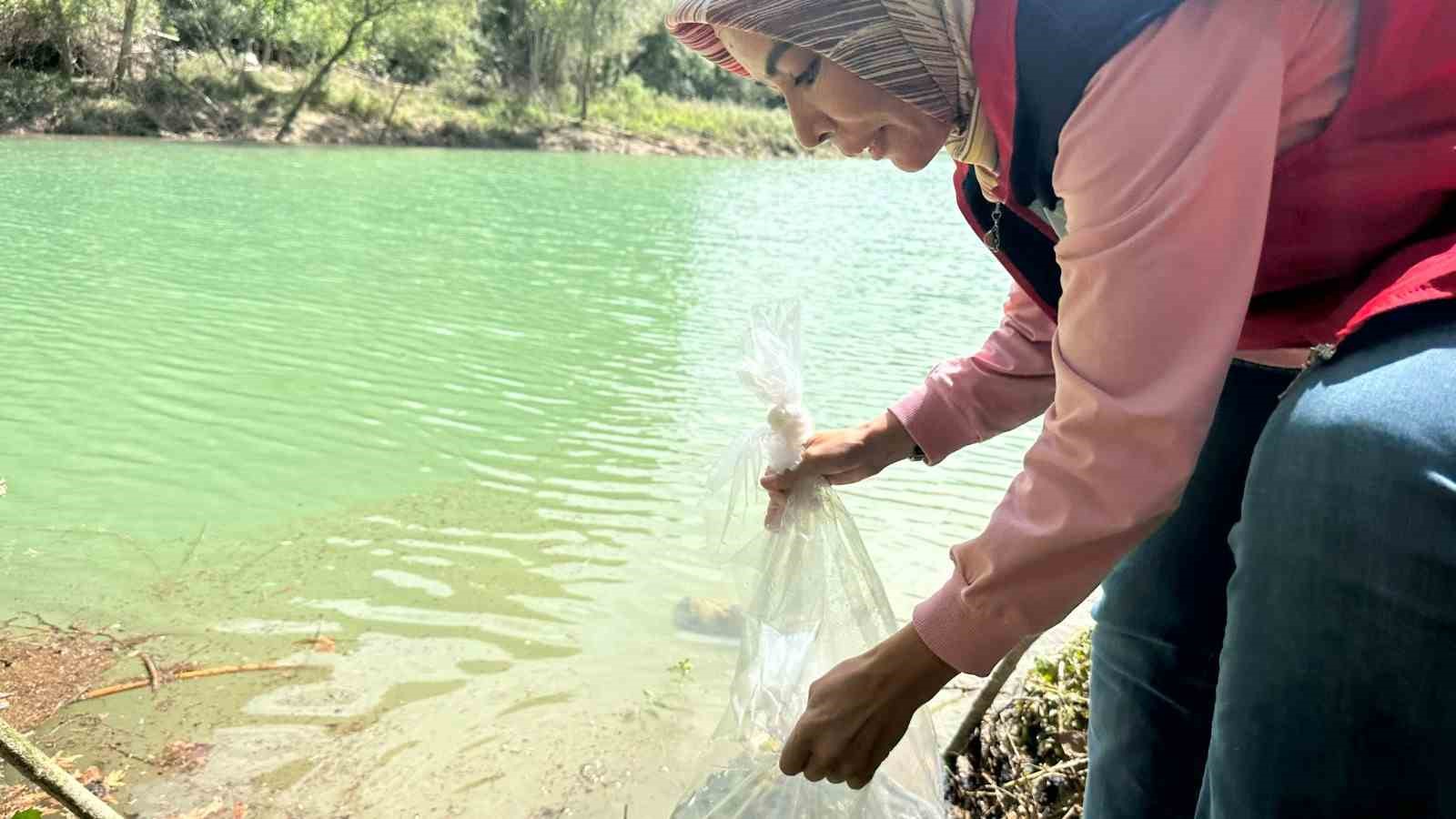 Osmaniye’de Tahta Barajı’na 20 bin pullu sazan yavrusu bırakıldı