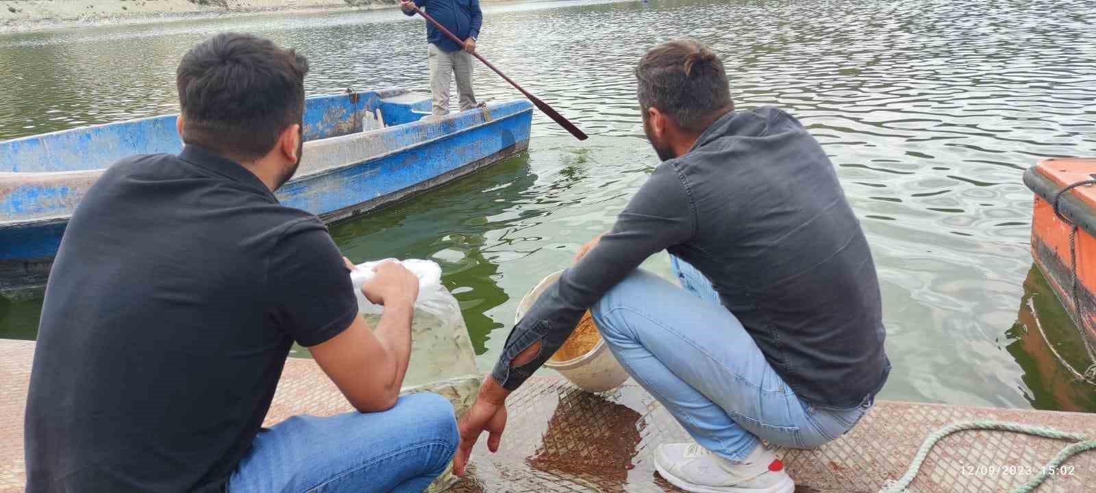 Erbaa’da baraj ve göletlere 6 bin sazan yavrusu bırakıldı