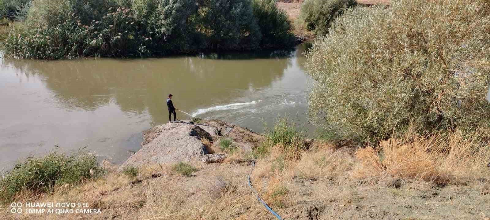 Kızılırmak’ta üvez sineği ile etkin mücadele devam ediyor