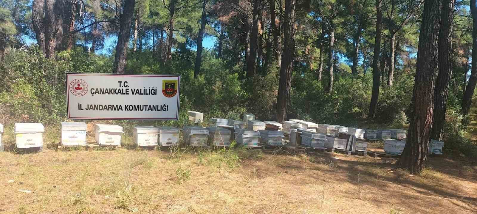 Çanakkale’de arı kovanı hırsızlığı