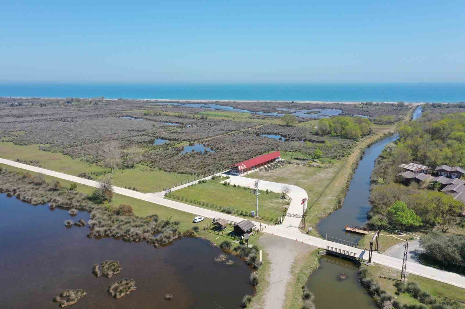 Kuş Cenneti’ni yaz döneminde 50 bin kişi ziyaret etti