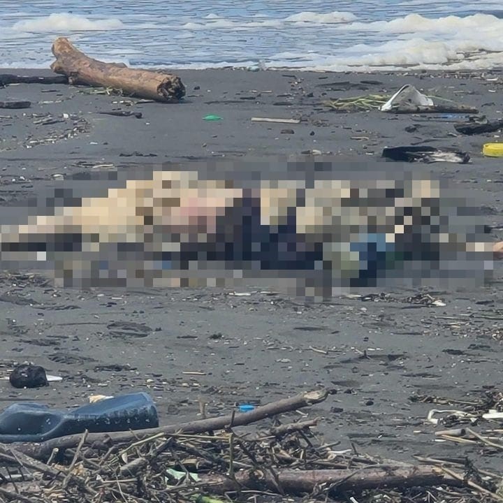 Ordu&rsquo;da kaybolan şahsın cesedi Batum&rsquo;da kıyıya vurdu
