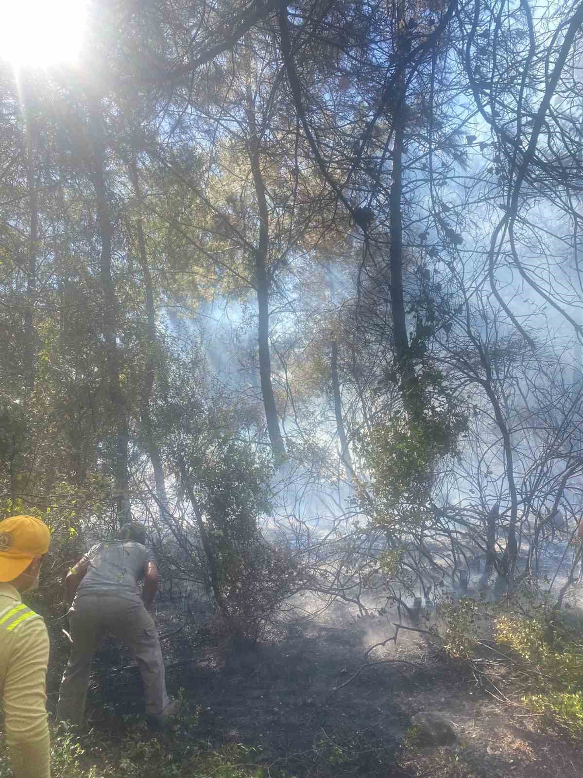 Manavgat’ta ormanlık alanda başlayan ikinci yangın söndürüldü