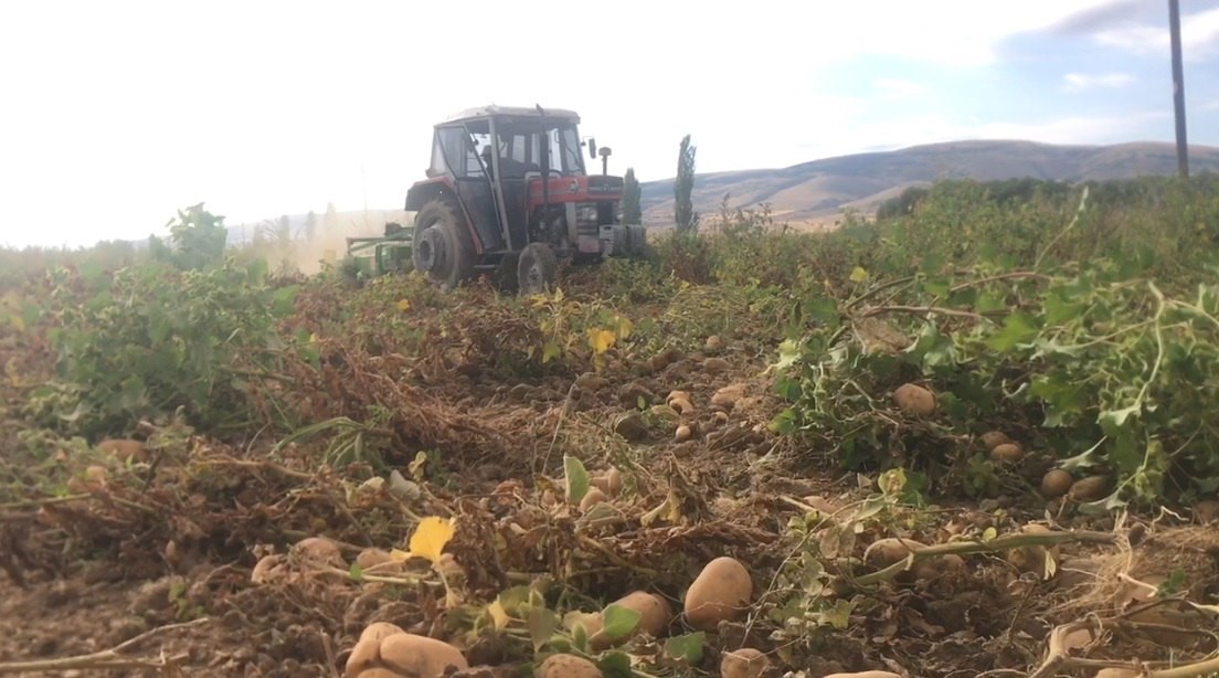 Erzincan&rsquo;da patates hasadı başladı
