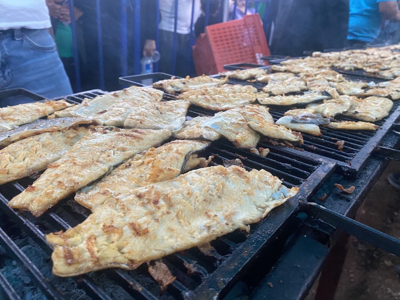Kahramanmaraş’ta "Balık Festivali" düzenlendi