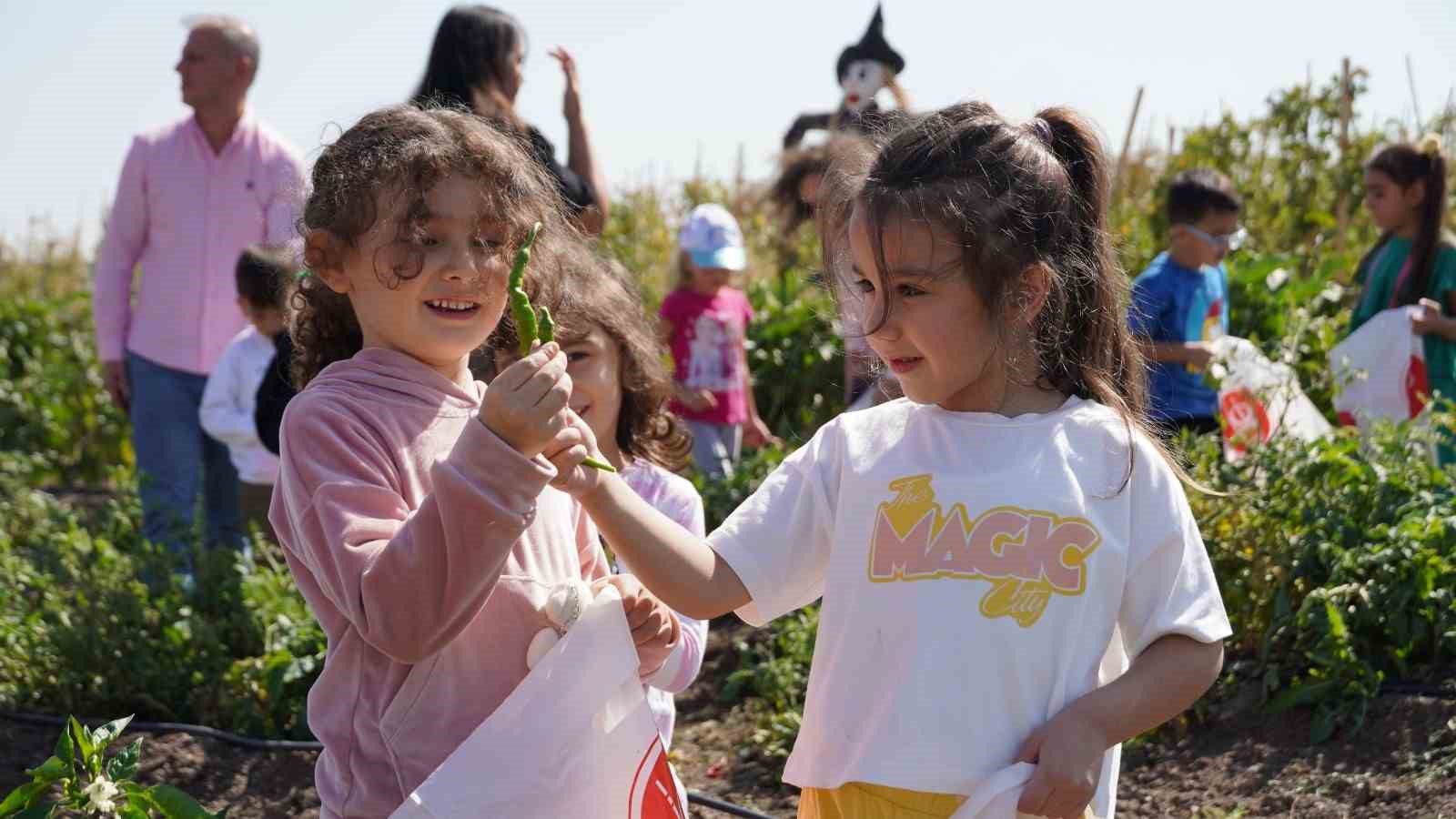 Keçiören’de kreş öğrencileri bostanda hasat yaptı
