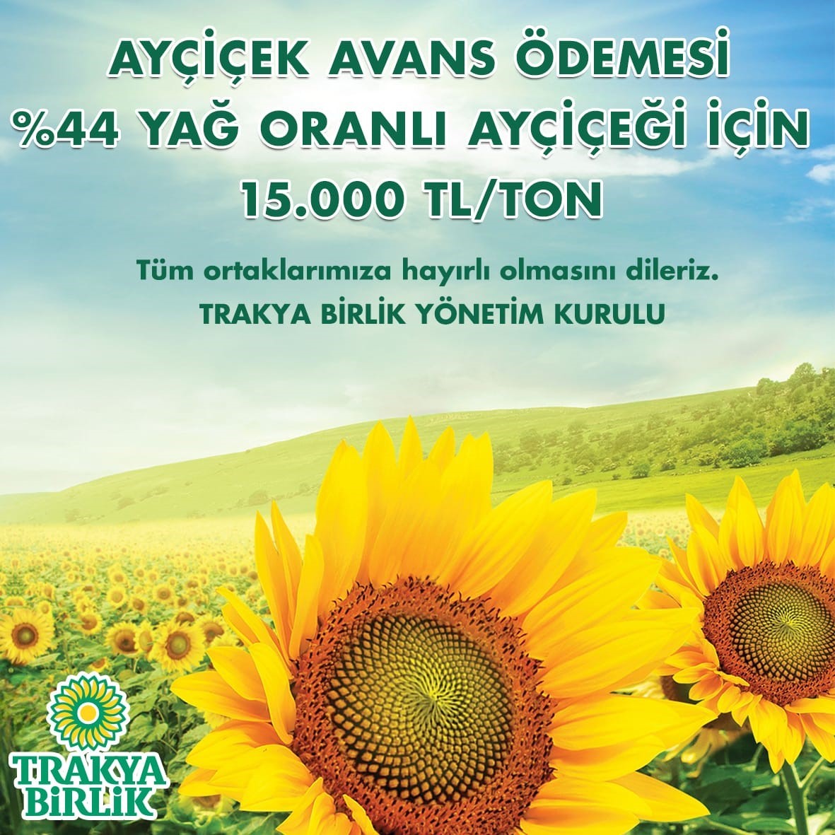 Trakya Birlik a&ccedil;ıkladı: Ay&ccedil;i&ccedil;eğinde ton başına 15 bin liradan alım yapılacak
