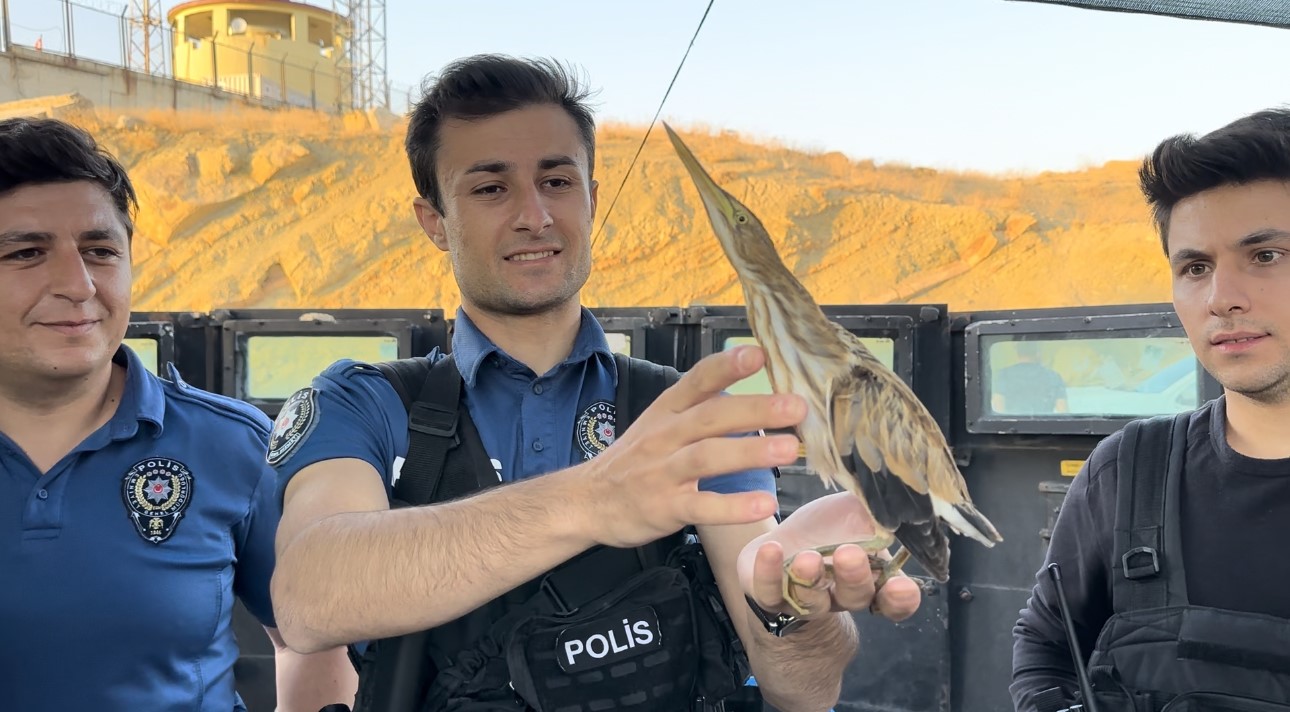 Polisten balaban kuşuna şefkat eli