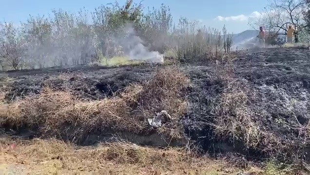 Kdz. Ereğli ilçesinde fındık bahçesi yandı
