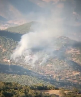 Tunceli’de çıkan orman yangını kontrol altına alındı