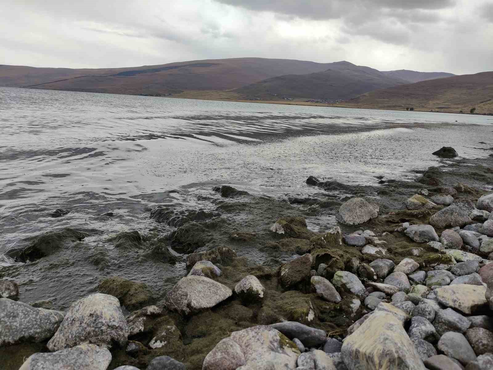 &Ccedil;ıldır G&ouml;l&uuml; yeşile b&uuml;r&uuml;nd&uuml;

