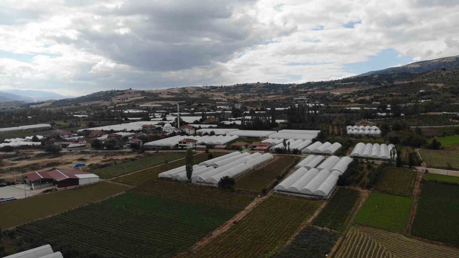 Tokat’taki küçük Antalya: Bu köy göç vermiyor göç alıyor