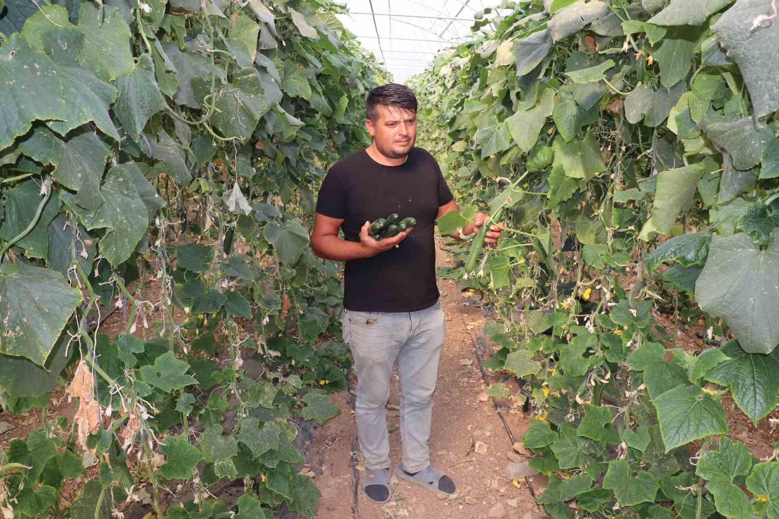 Tokat&rsquo;taki k&uuml;&ccedil;&uuml;k Antalya: Bu k&ouml;y g&ouml;&ccedil; vermiyor g&ouml;&ccedil; alıyor
