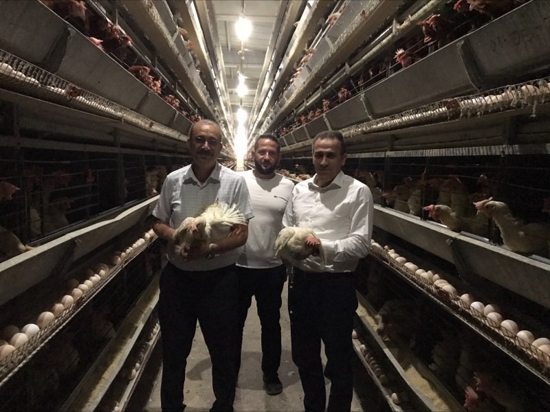 Burhaniye&rsquo;de, Kaymakam Memiş yumurta ve et &uuml;retim tesislerini ziyaret etti
