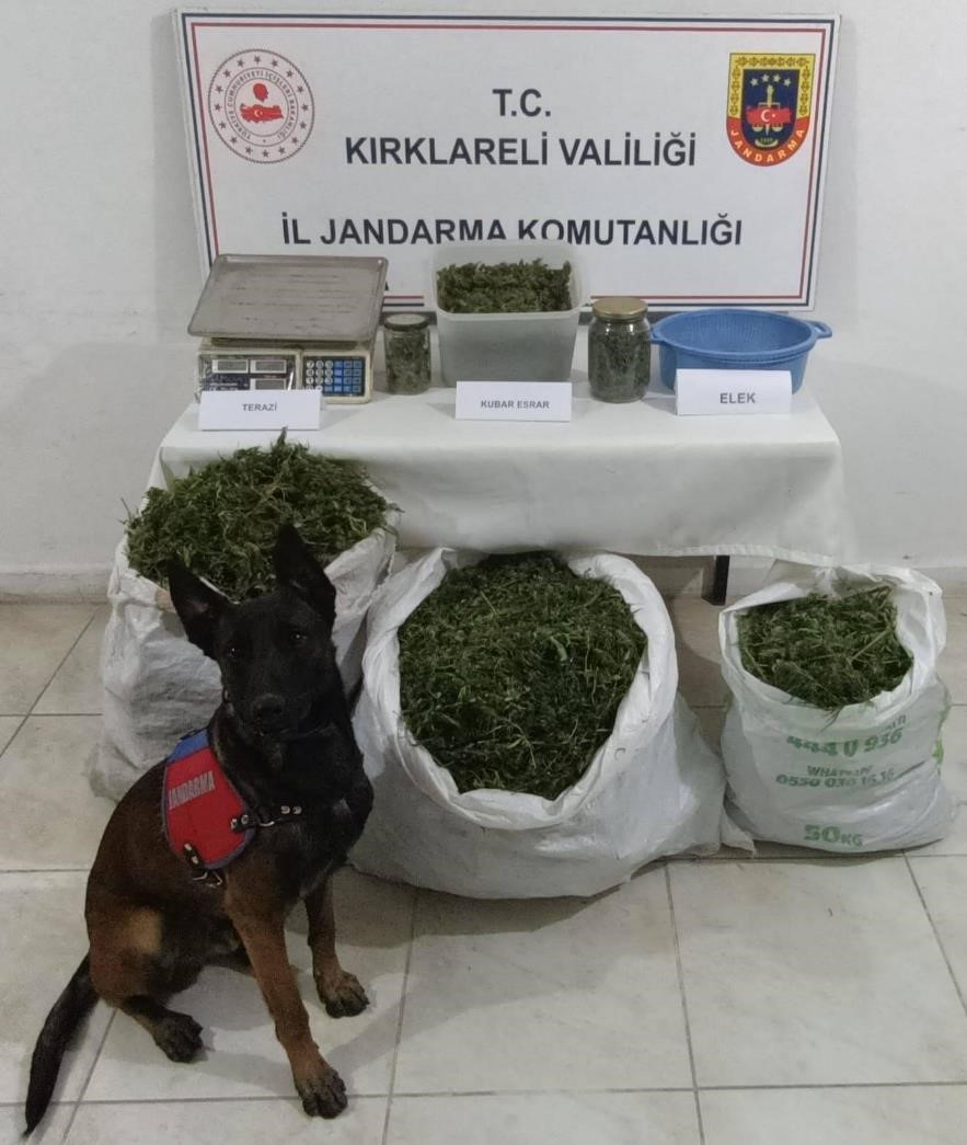Kırklareli’nde bir evden 22 kilo esrar çıktı