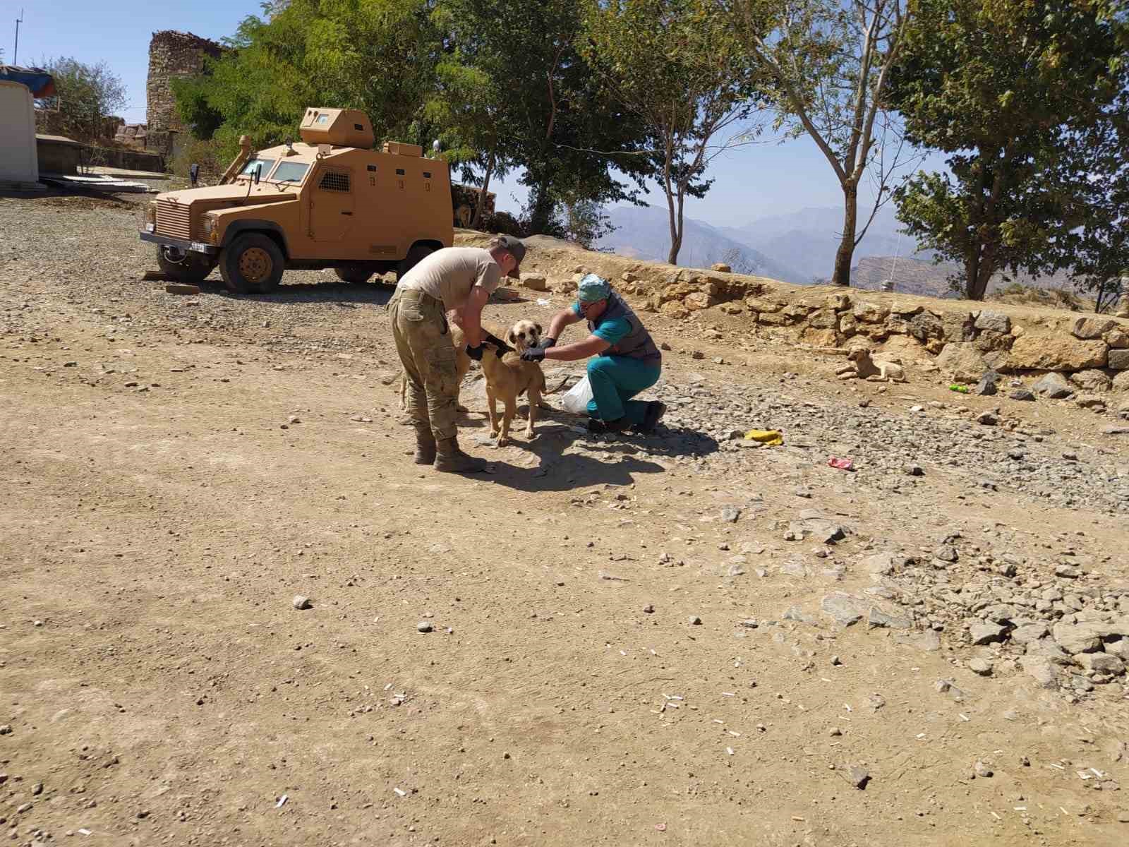 Belediye ekipleri sahra hastanesinde can dostları sağlık taramasında ge&ccedil;irdi
