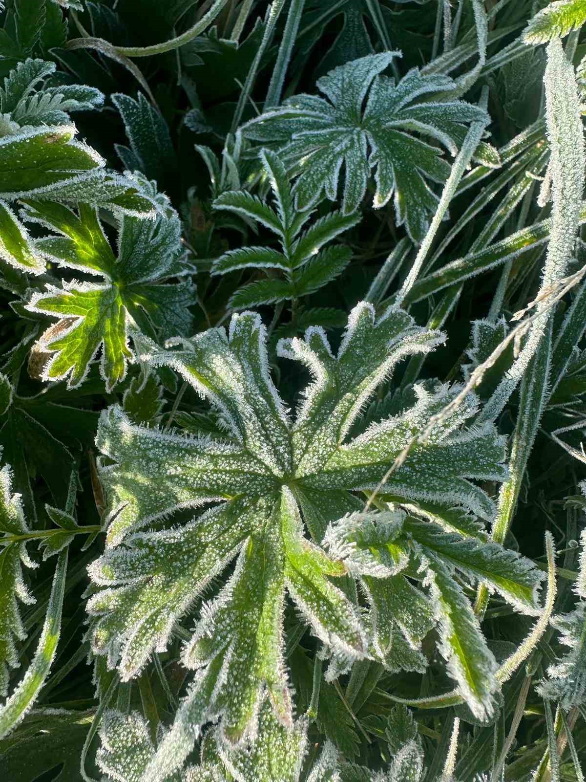 Ardahan&rsquo;da sıcaklık sıfırın altına d&uuml;şt&uuml;
