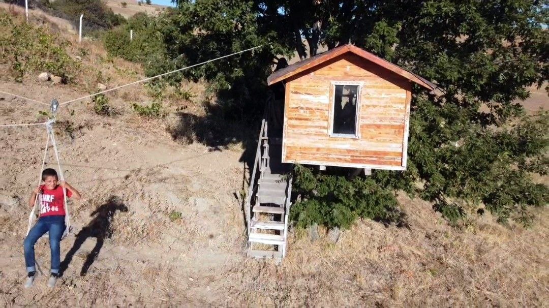 Karadeniz değil Yozgat: Meşe ağacının &uuml;zerine yaptığı evler dikkat &ccedil;ekiyor
