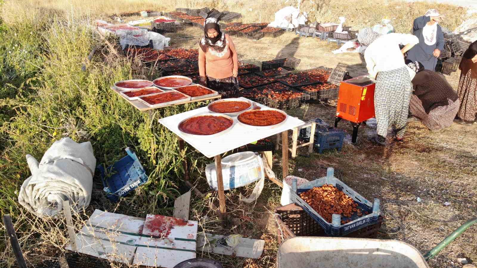 Tatvan&rsquo;da sal&ccedil;a kadınların gelir kapısı haline geldi
