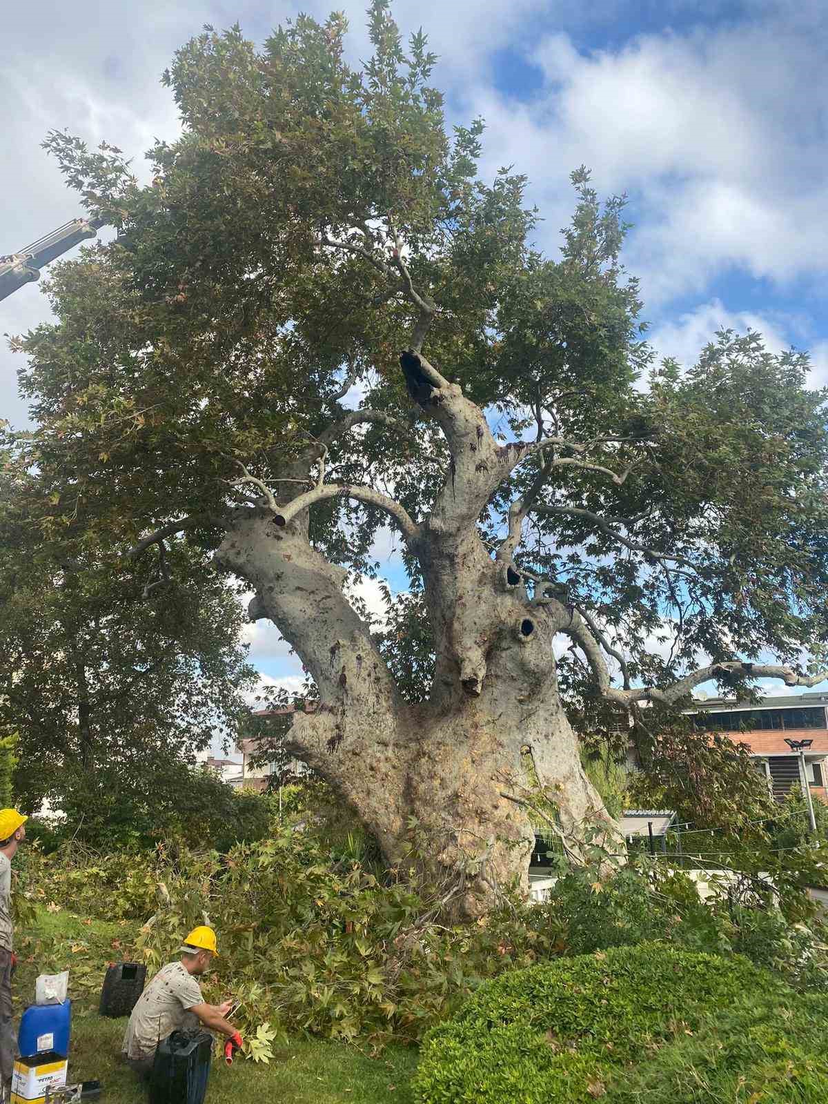 850 yıldır tarihe tanıklık ediyor