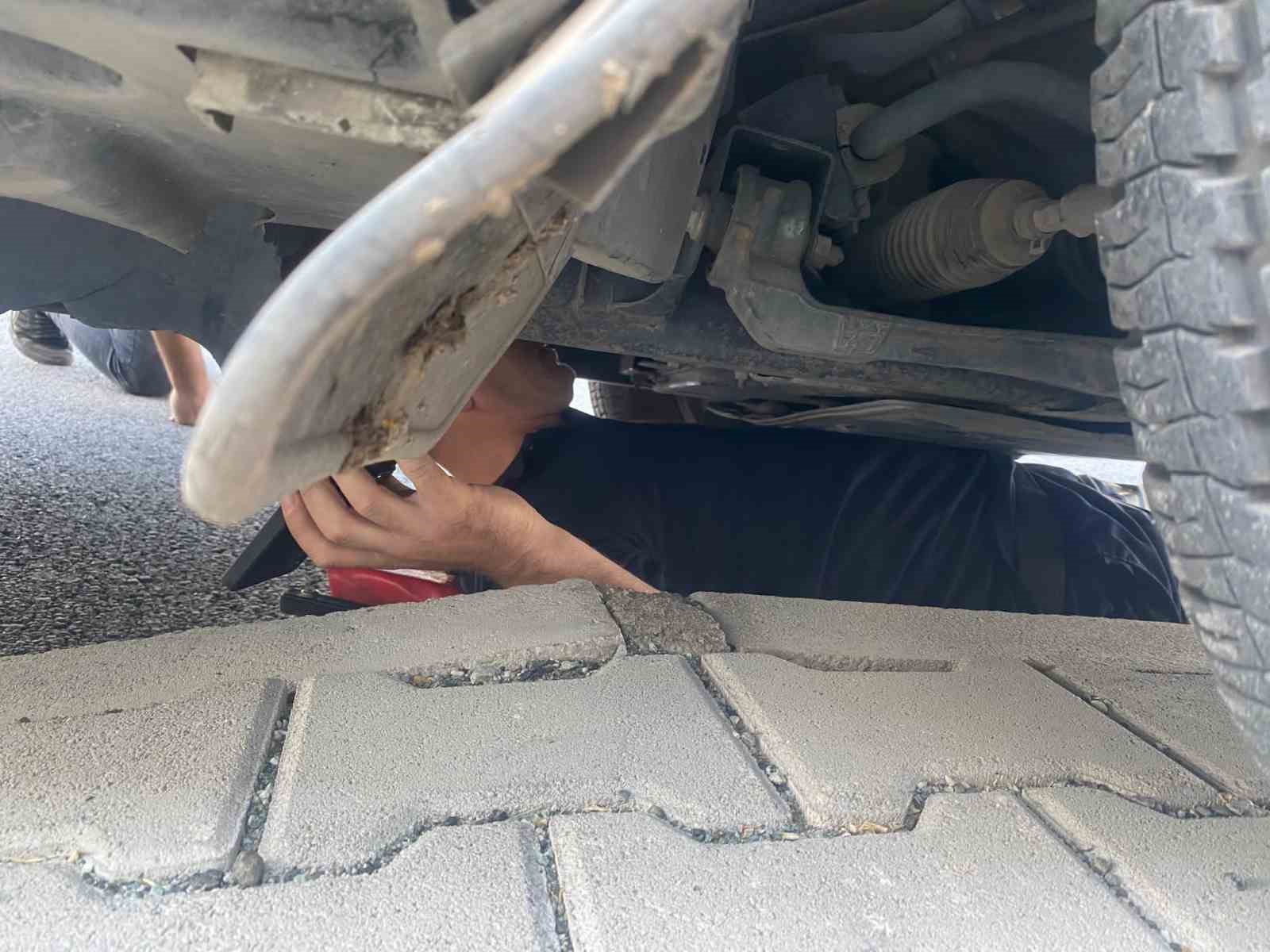 Aracın motoruna sıkışan yavru kediyi itfaiye kurtardı
