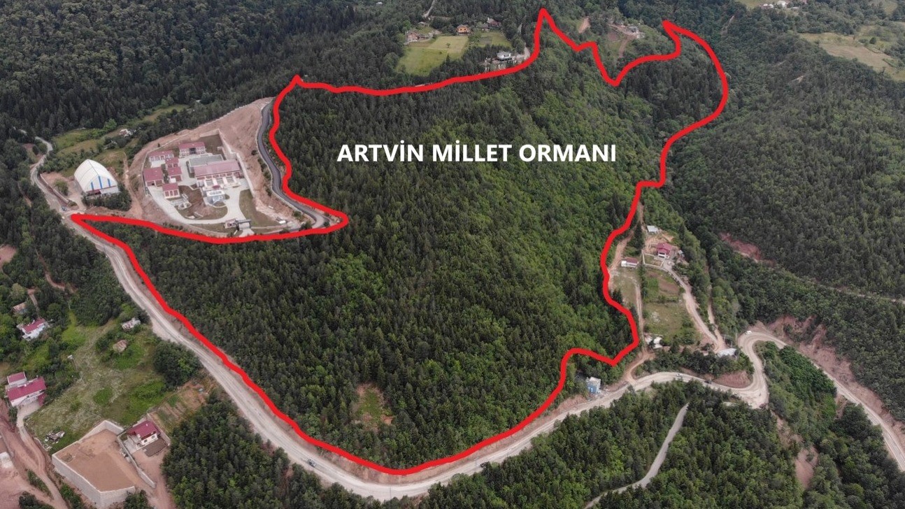 Artvin’e 10 Hektarlık alanda Millet Ormanı oluşturulacak