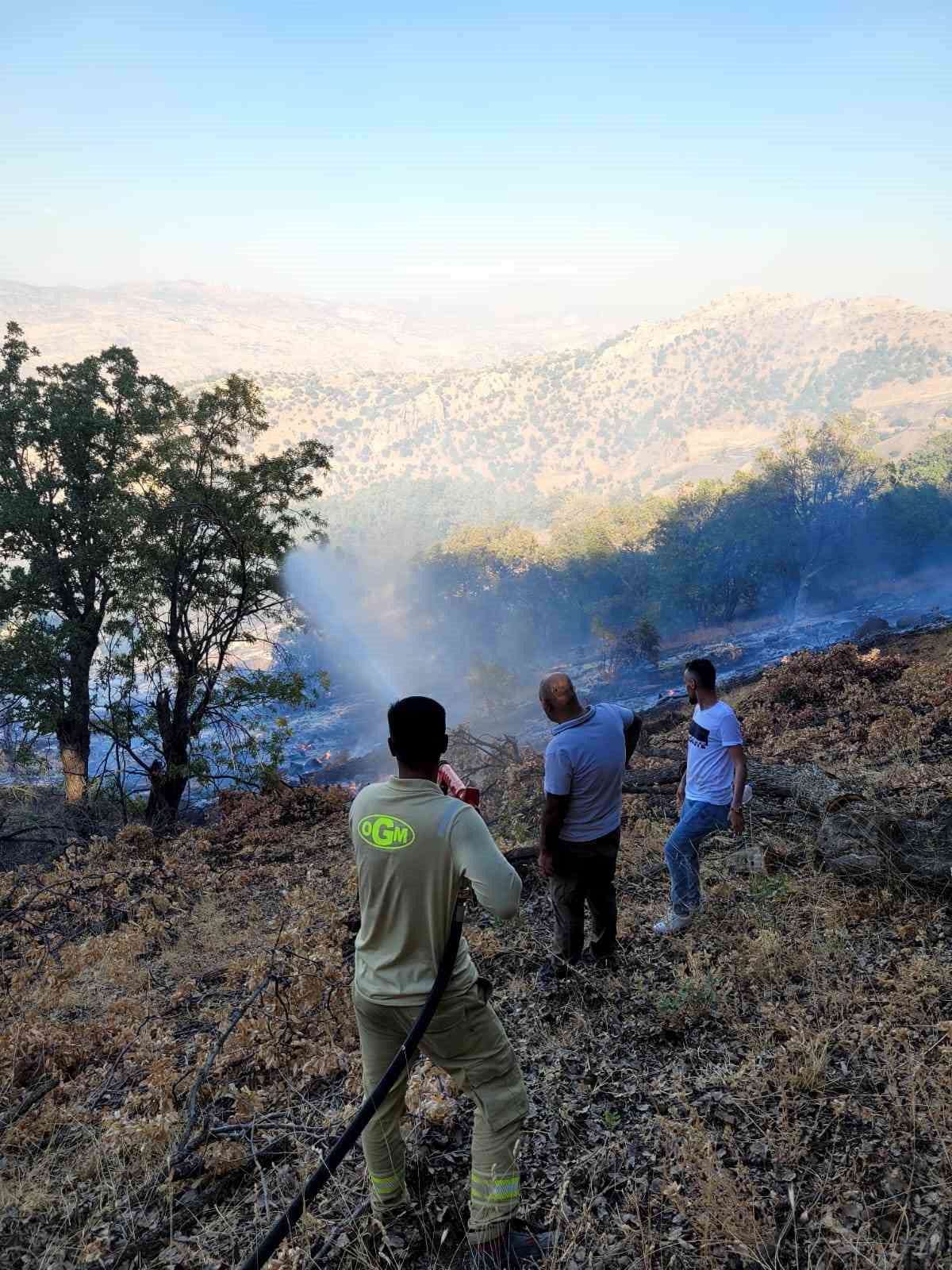 Cudi Dağı’nda çıkan yangın 7 saat sonra kontrol altına alındı