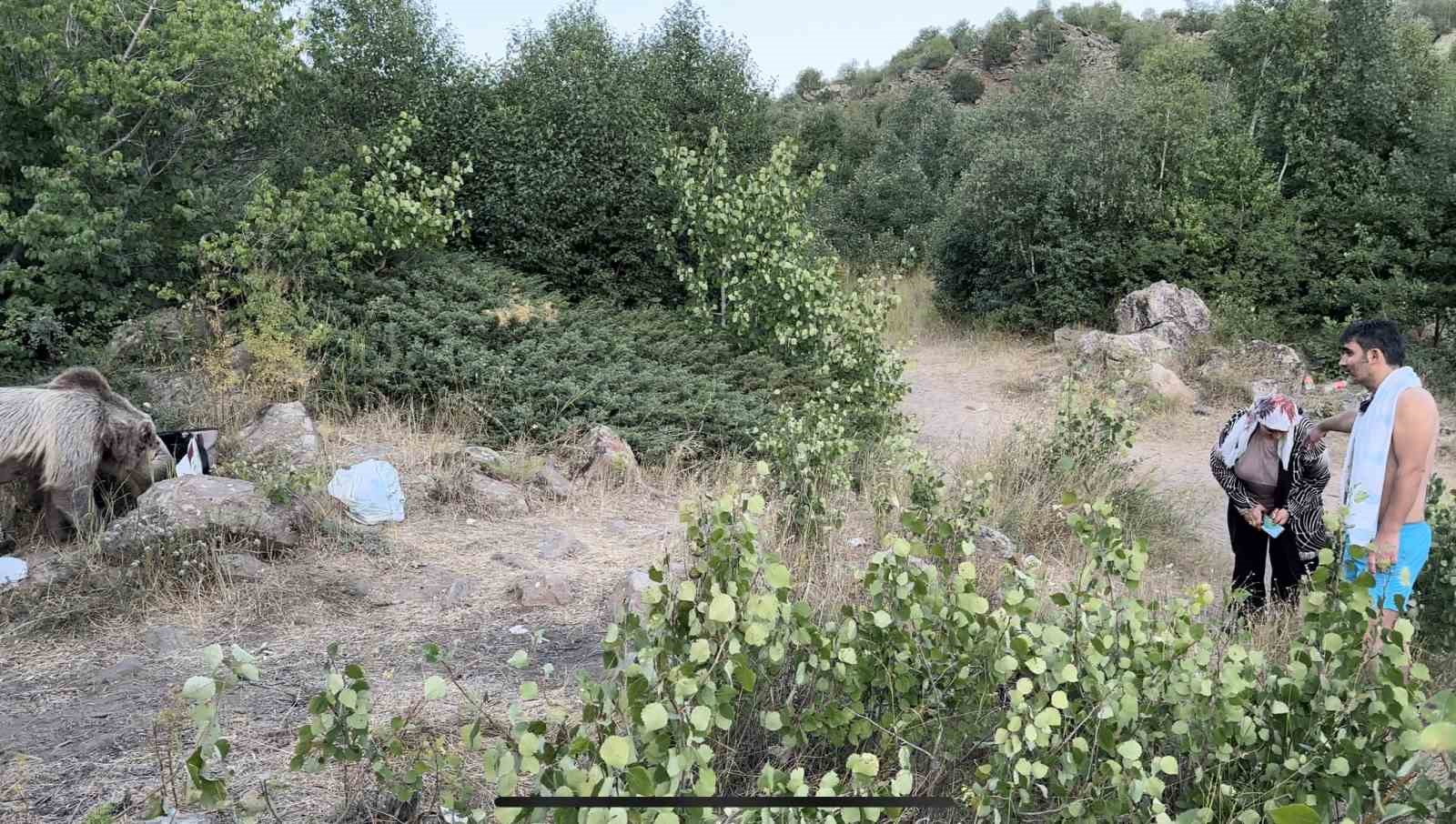 Nemrut&rsquo;ta ayılar piknik&ccedil;ilerin sofrasına oturdu
