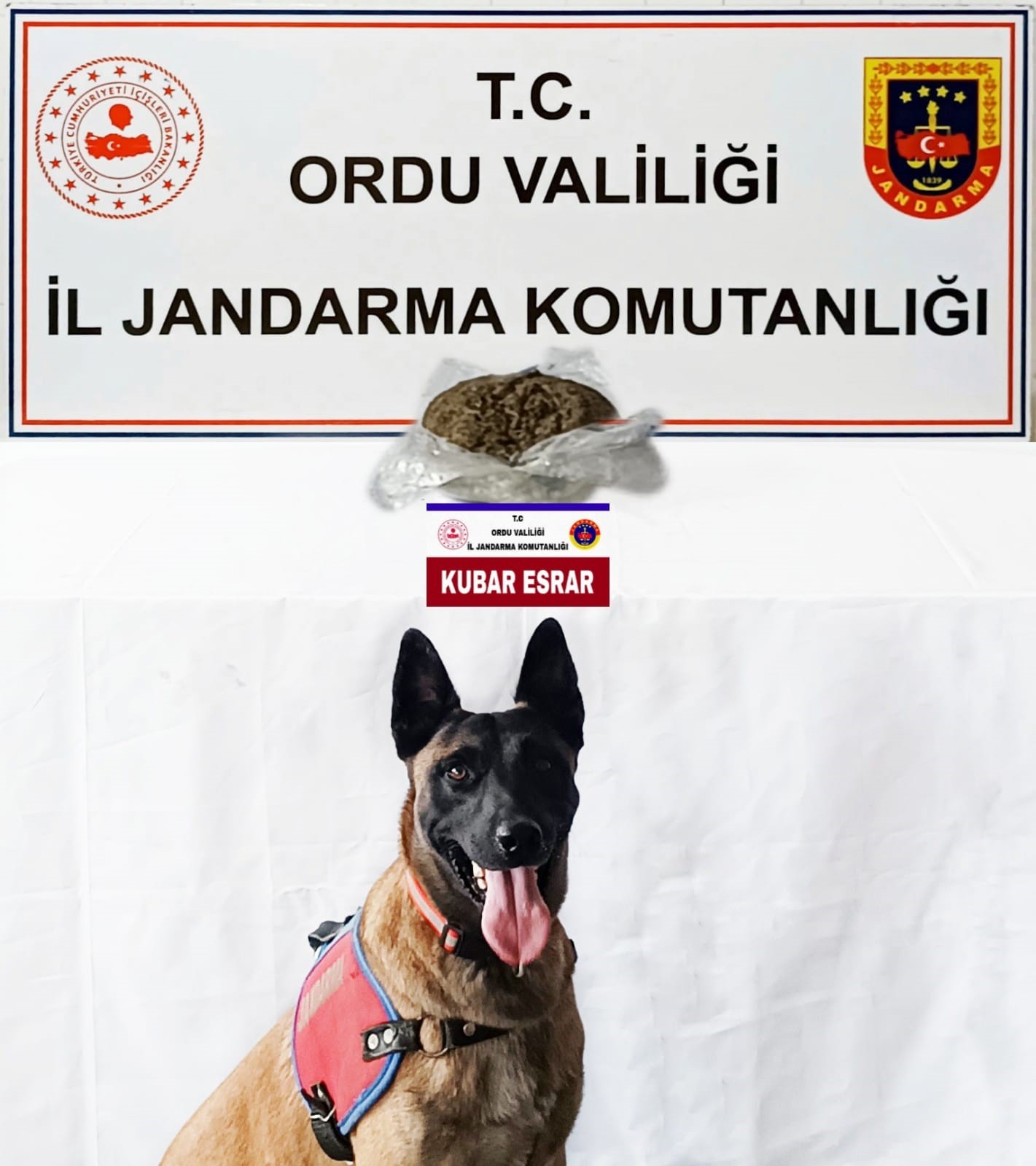 Jandarma ekiplerinden ka&ccedil;ak&ccedil;ılık operasyonu
