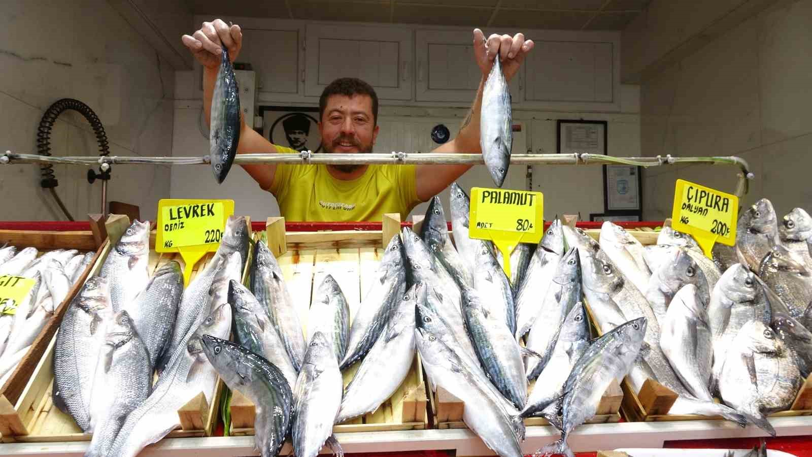 (Özel) Sezonun ilk palamutları tezgahta...Fiyatıyla yüzleri güldürdü