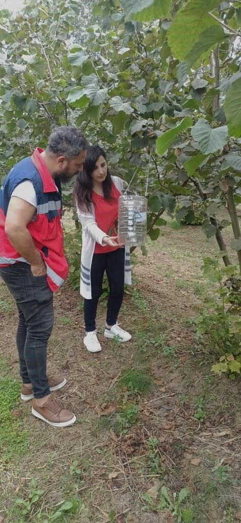 Tarım arazilerinde ‘kokarca’ tehlikesi