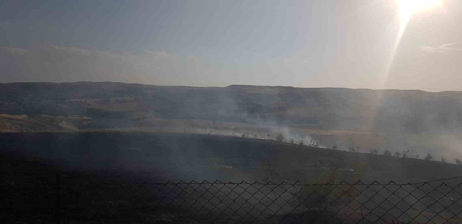 Siirt’te fıstık ve üzüm bahçesinde çıkan yangın söndürüldü