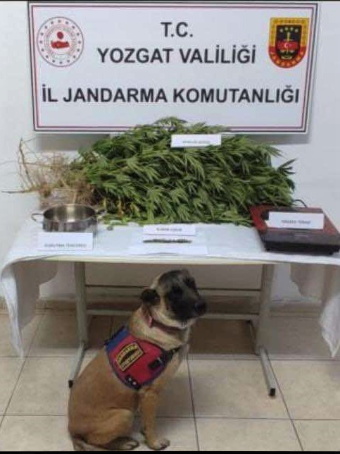 Yozgat’ta uyuşturucu operasyonu: 1 tutuklu