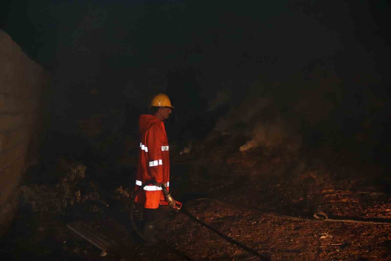 Iğdır’da 8 bin ot balyası kül oldu, bir kadın dumandan zehirlendi
