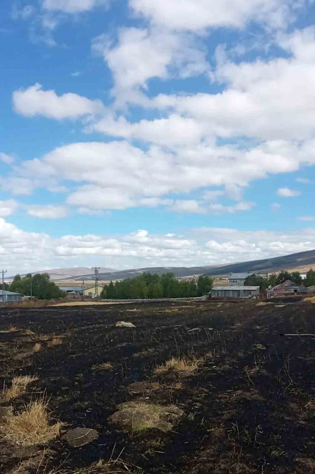 Ardahan’da çıkan anız yangını söndürüldü