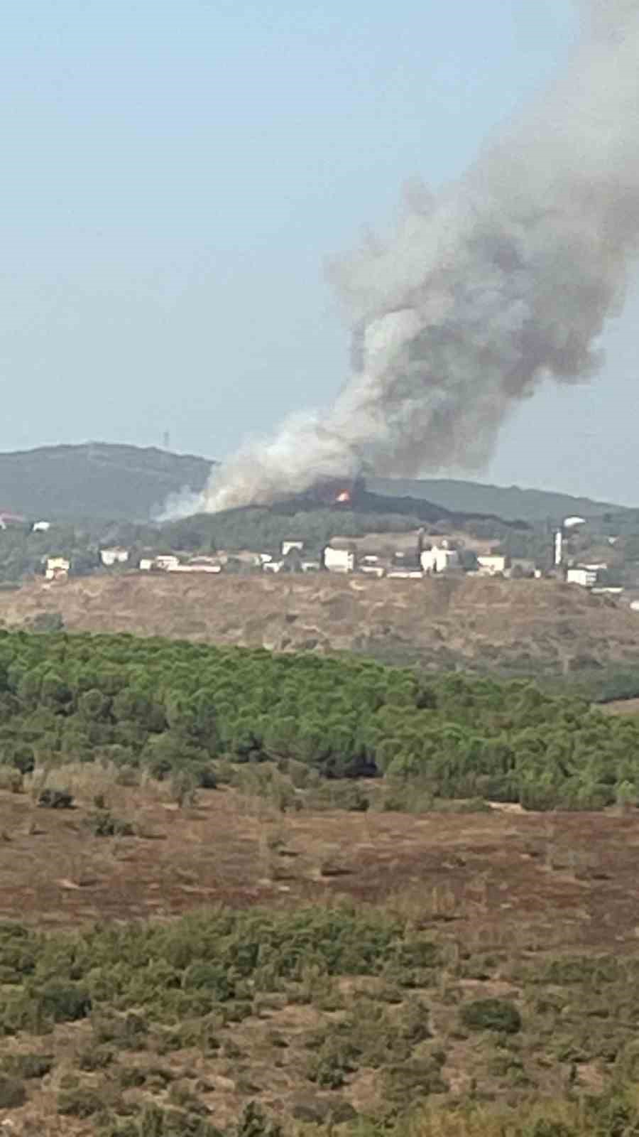 Kocaeli’de orman yangını
