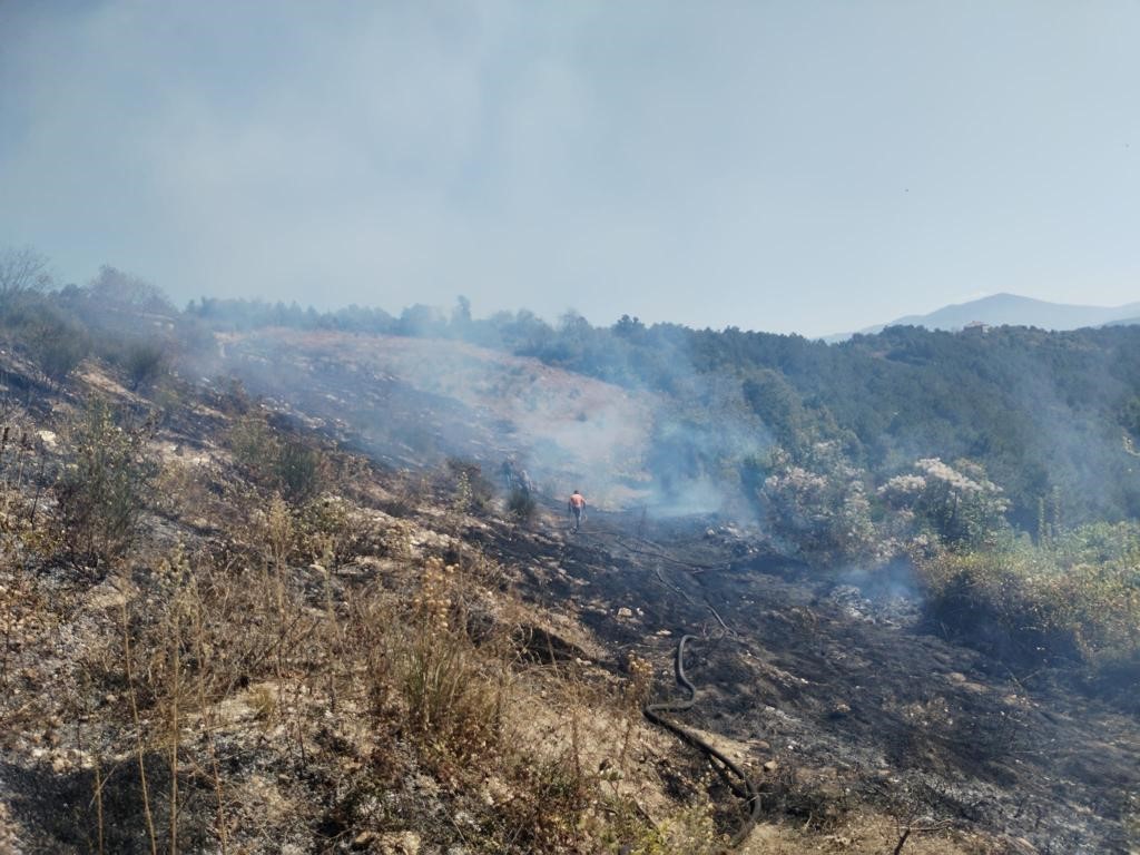 Alaplı’da 10 dönüm fındık bahçesi yandı