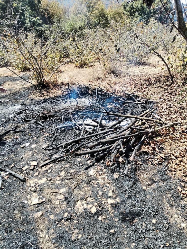 Alaplı&rsquo;da 10 d&ouml;n&uuml;m fındık bah&ccedil;esi yandı
