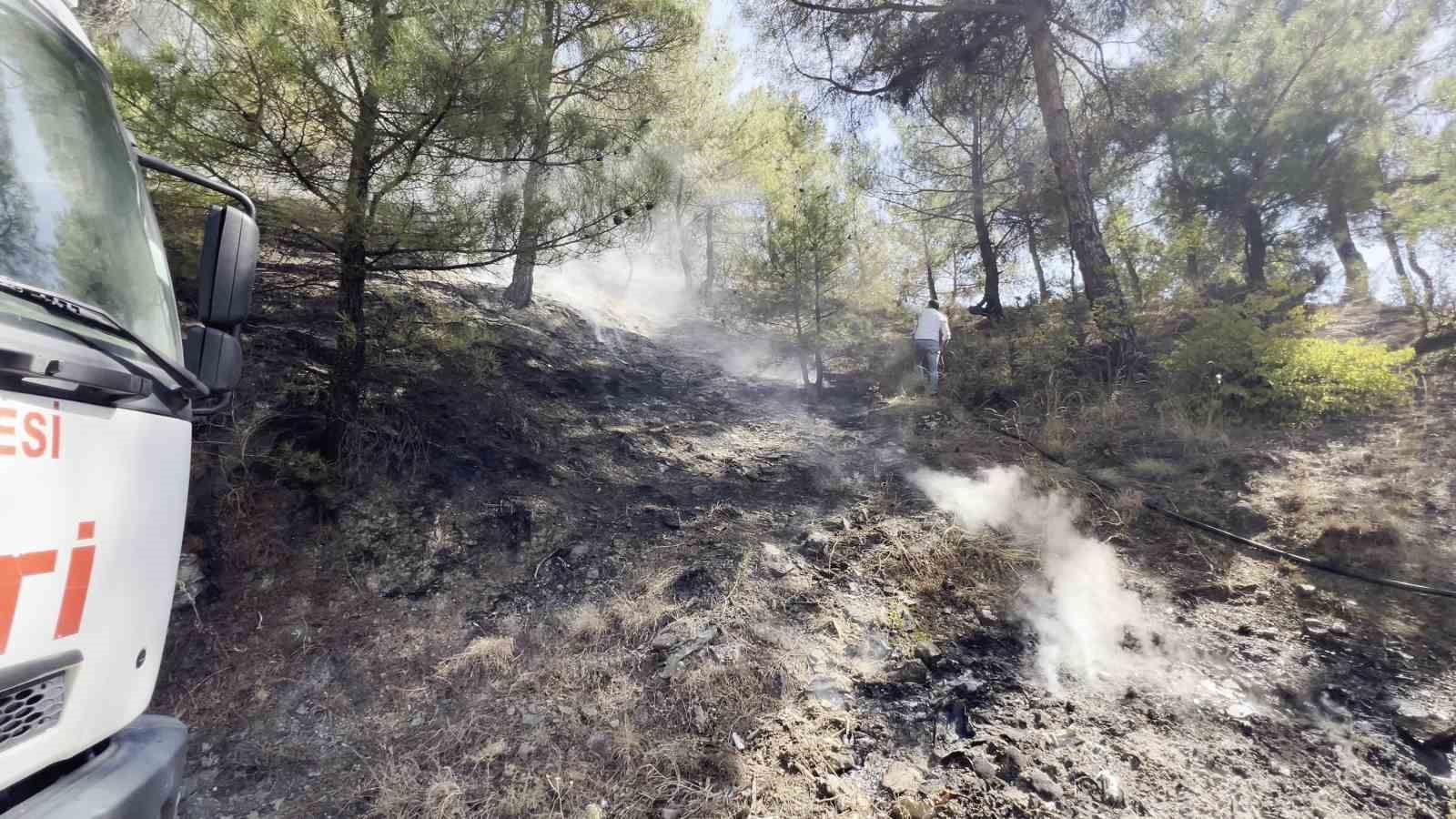 Kastamonu’da orman yangını: Ekiplerin müdahalesi ile kısa sürede söndürüldü